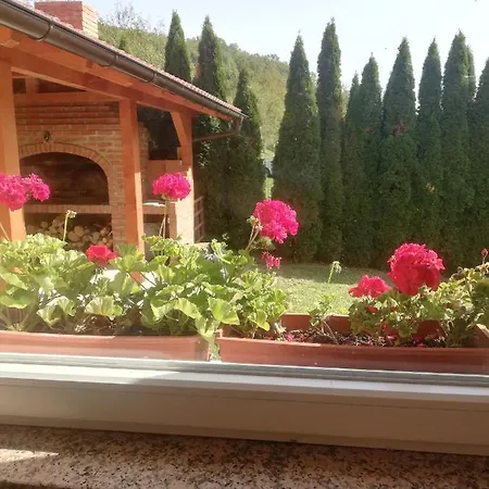 Homer Na Obali Vrbasa * Banja Luka