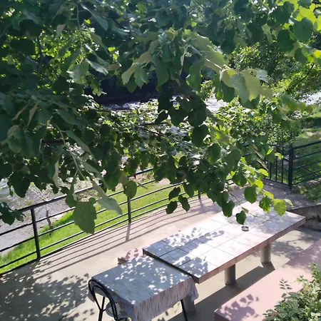 Homer Na Obali Vrbasa *